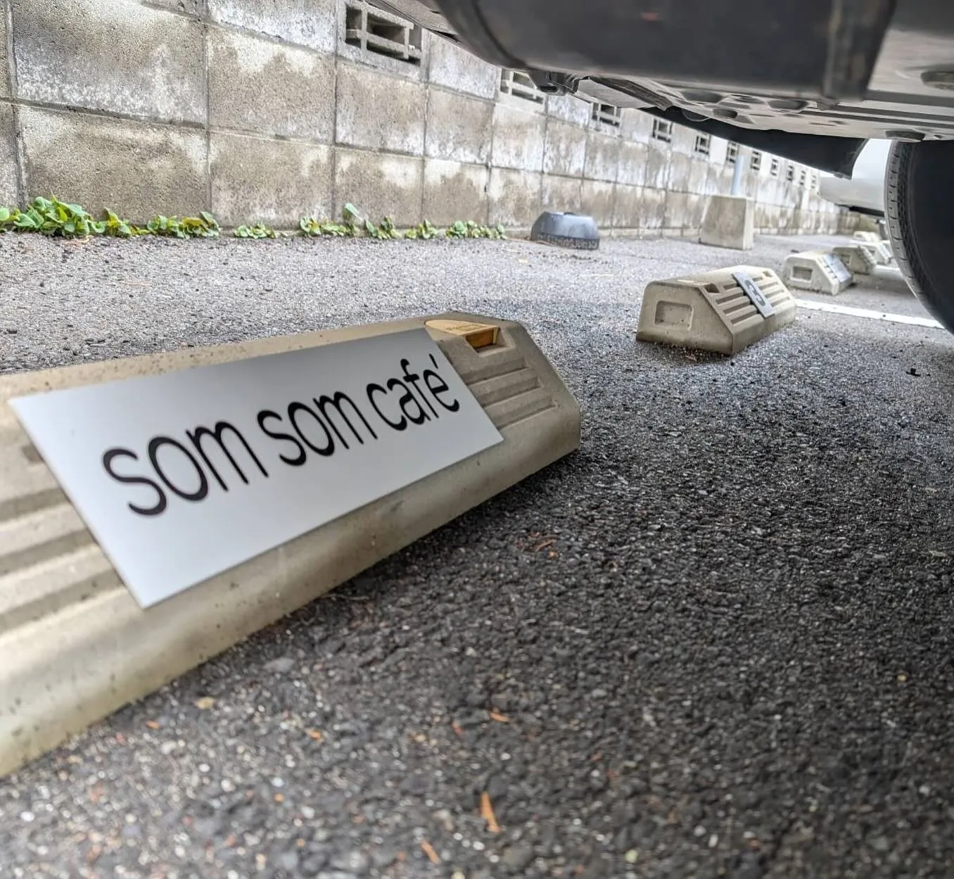 初投稿は店舗の様子を少しだけアップ。