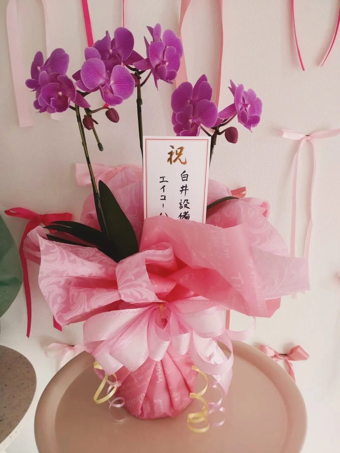 ✨プレオープン初日、無事終了しました✨