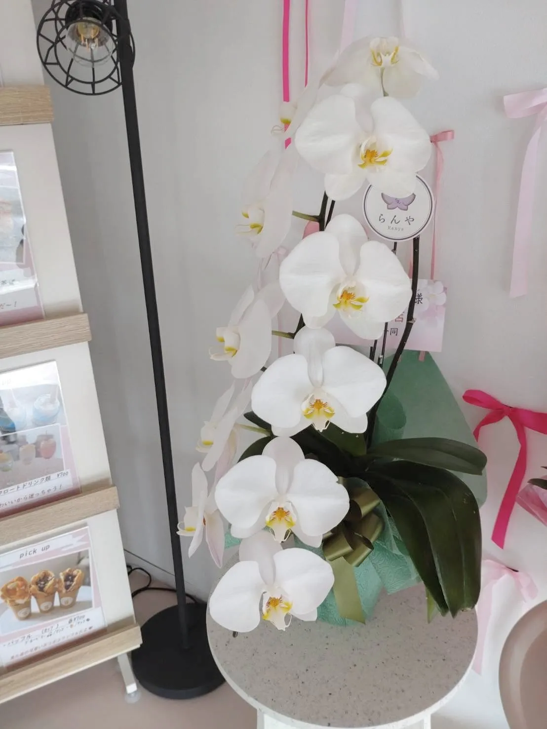 ✨プレオープン初日、無事終了しました✨