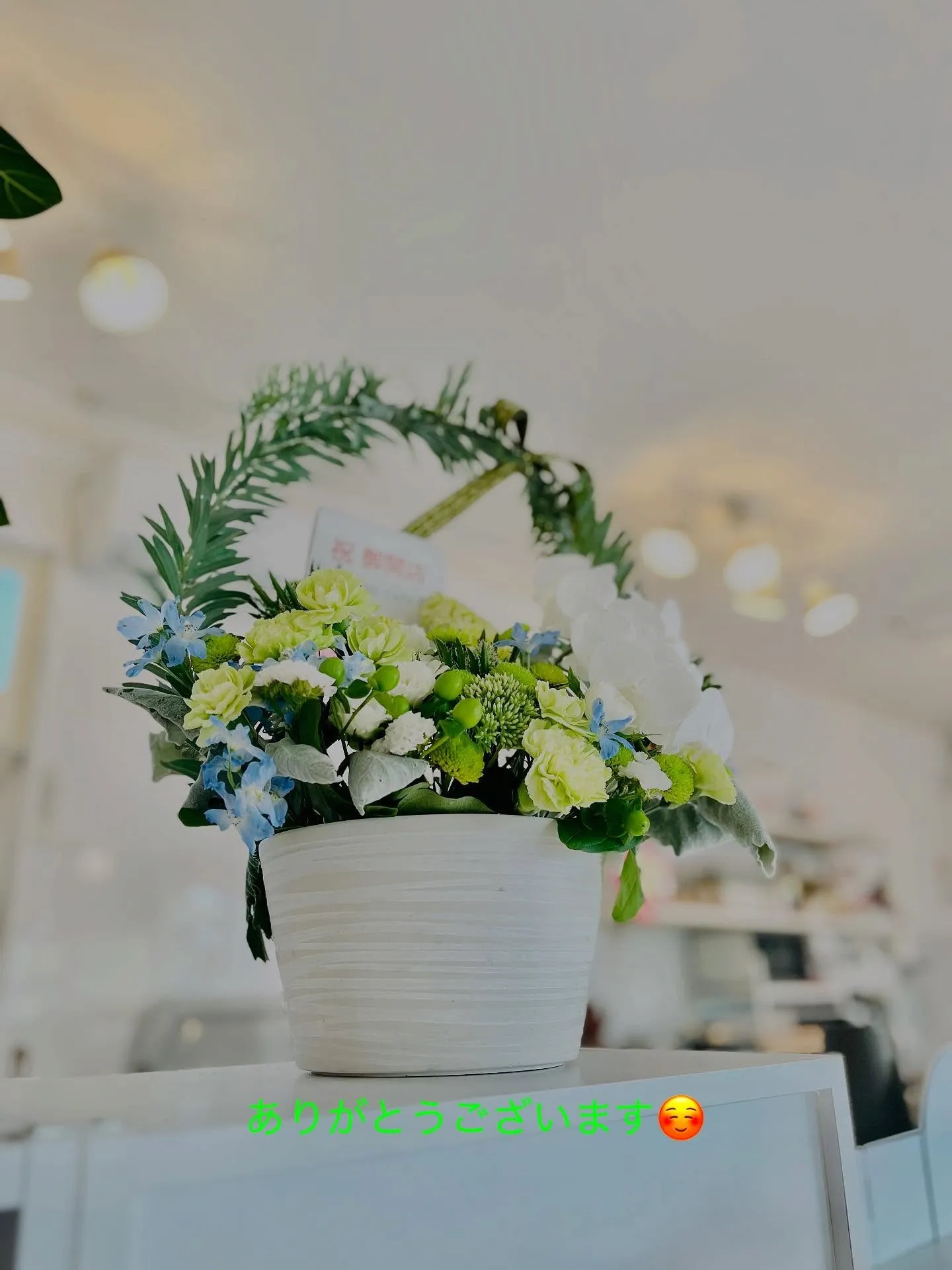 今日は嬉しいことがありました✨