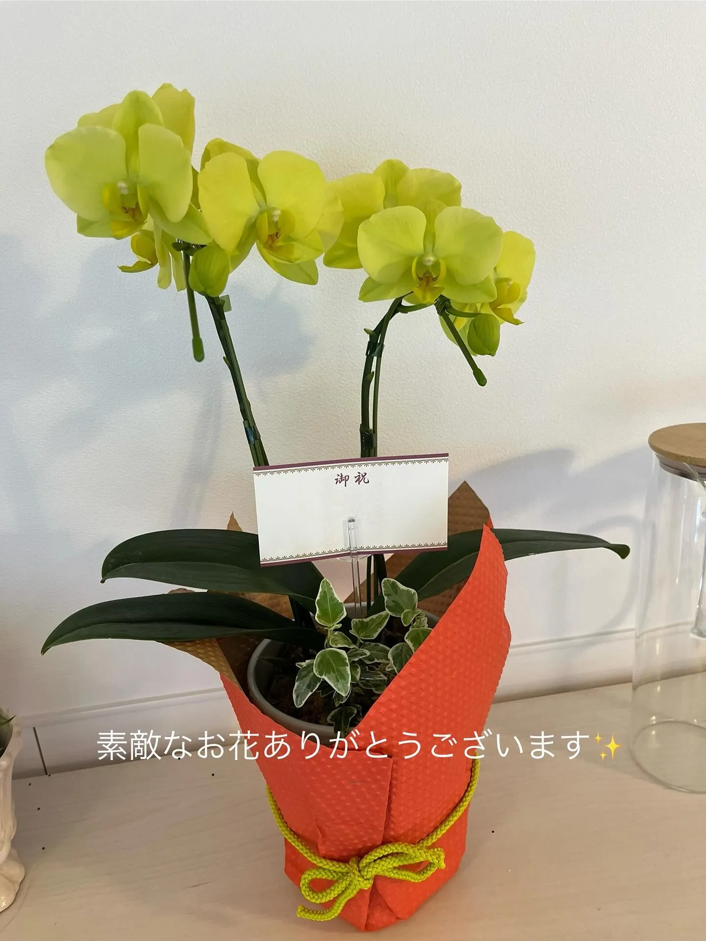 店内の雰囲気づくりも、スタッフが日々工夫しながら頑張ってくれています✨