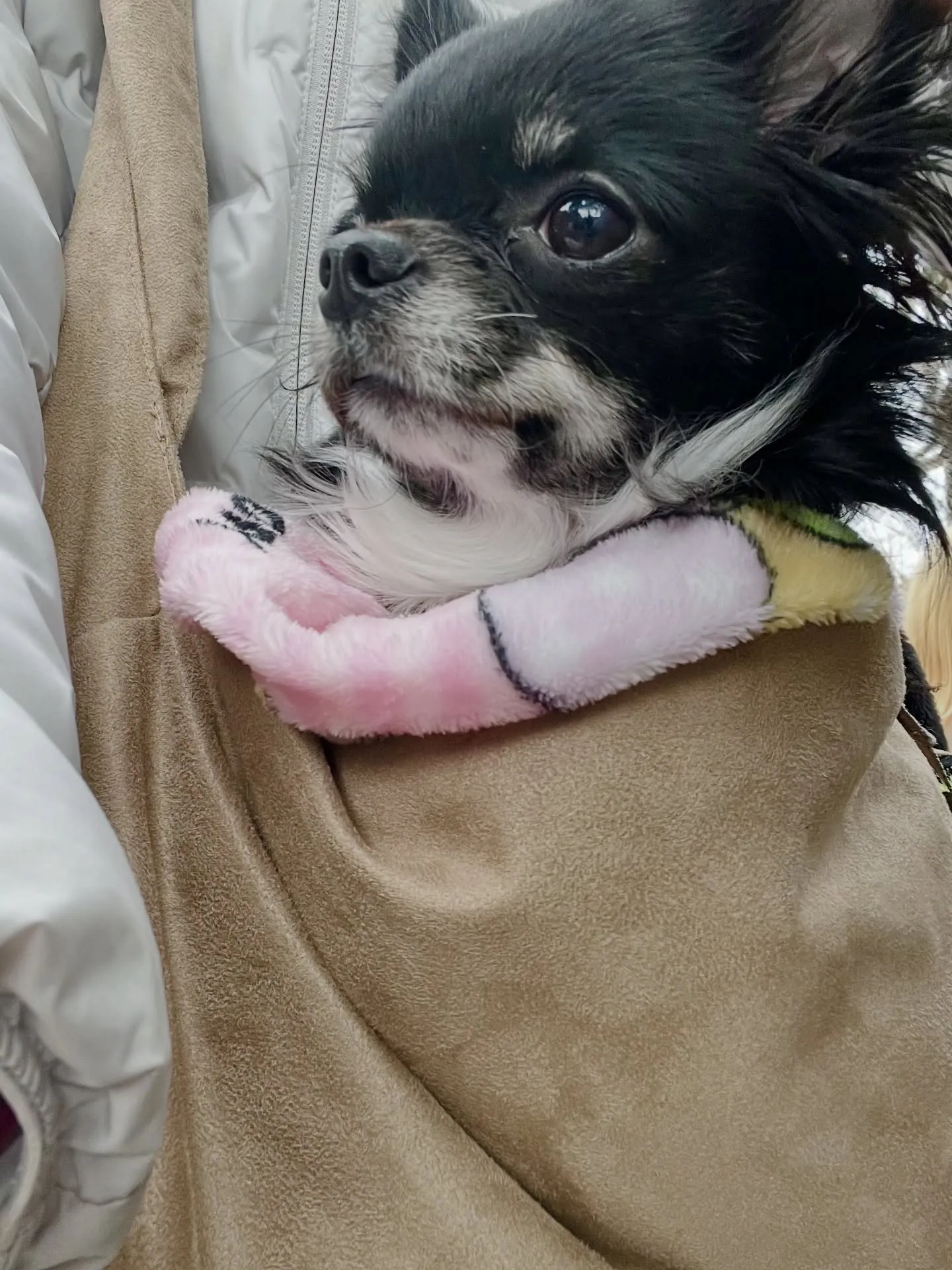 あけましておめでとうございます🎍