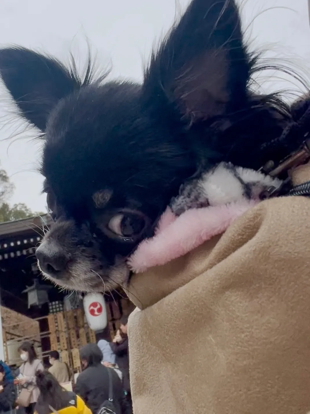 あけましておめでとうございます🎍