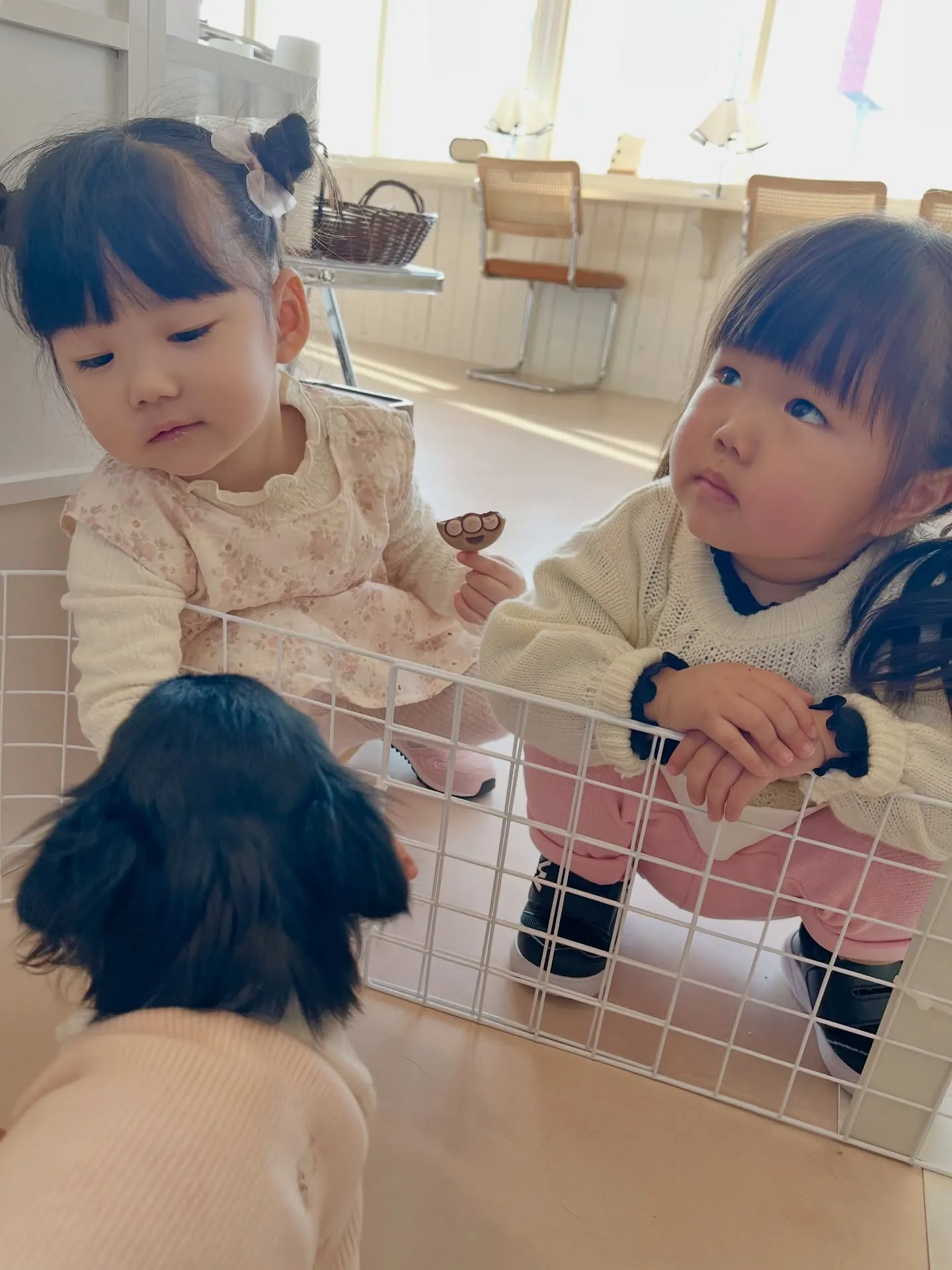 かわいいお客様がご来店☺️