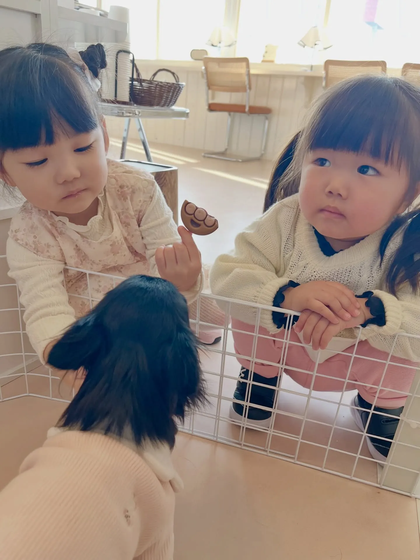 かわいいお客様がご来店☺️