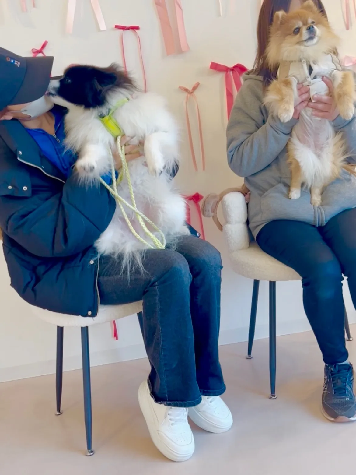 今日のカフェは、かわいさ満点のご来店🐾