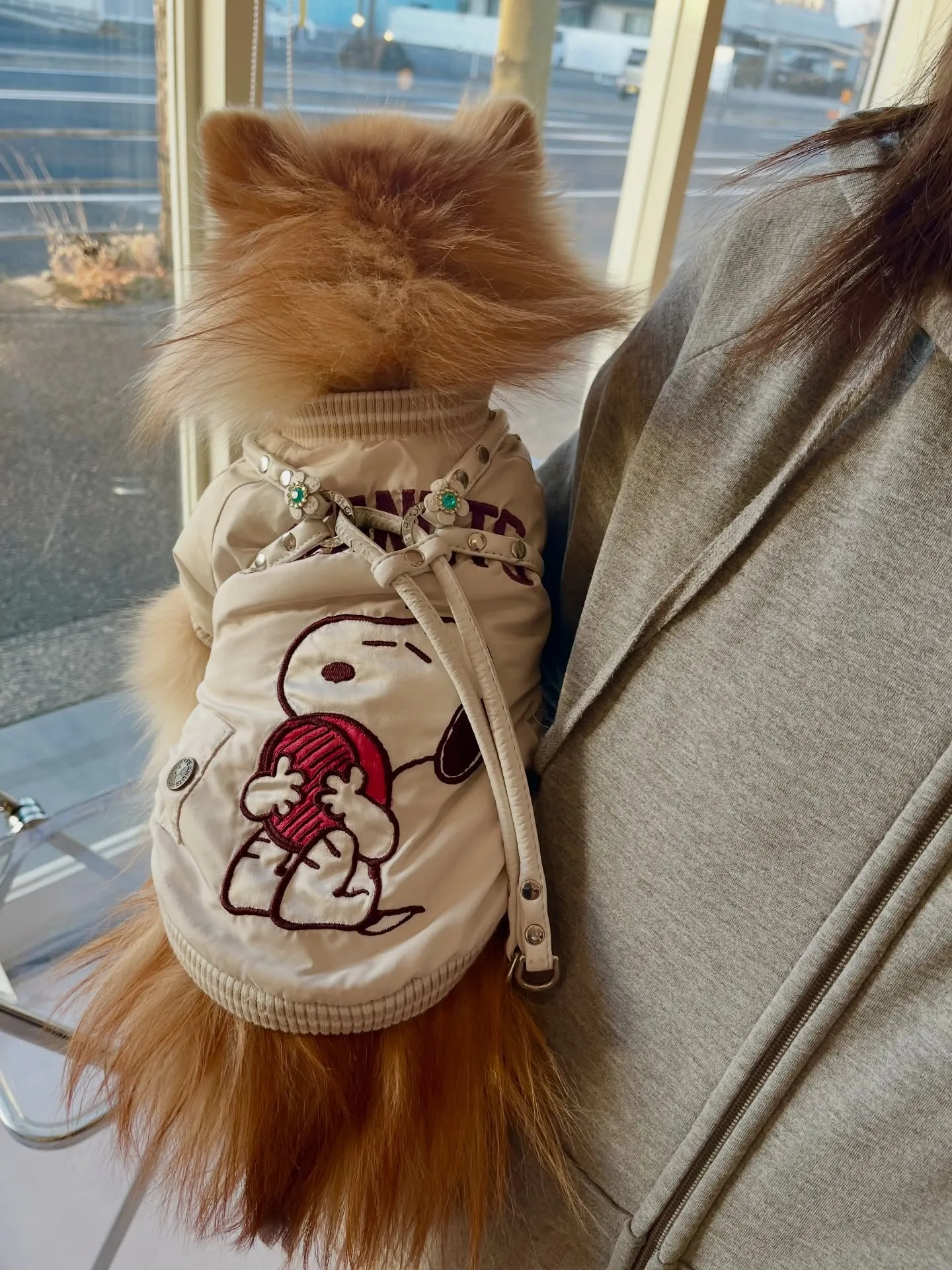 今日のカフェは、かわいさ満点のご来店🐾