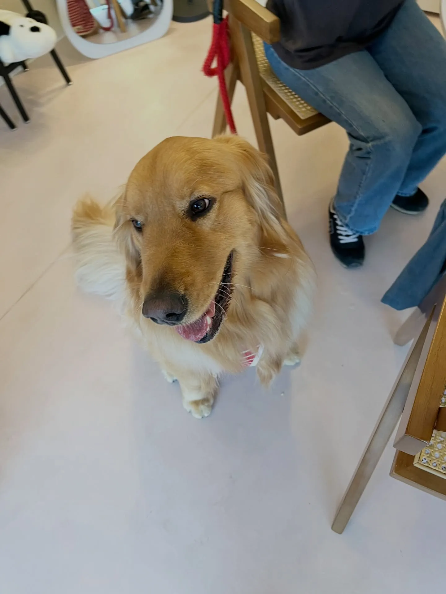 可愛さ満点のご来店です🐾🐾🐾