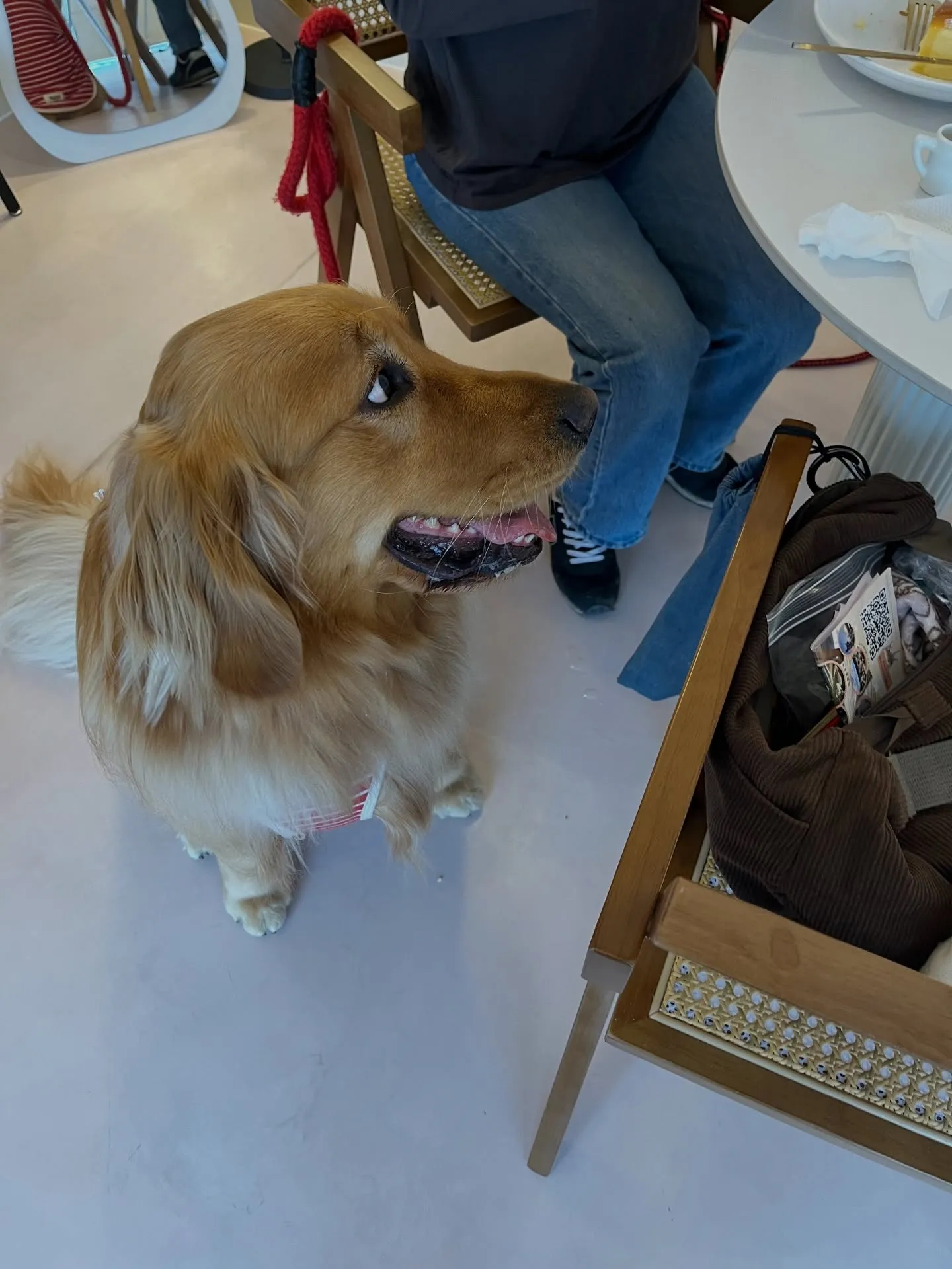 可愛さ満点のご来店です🐾🐾🐾