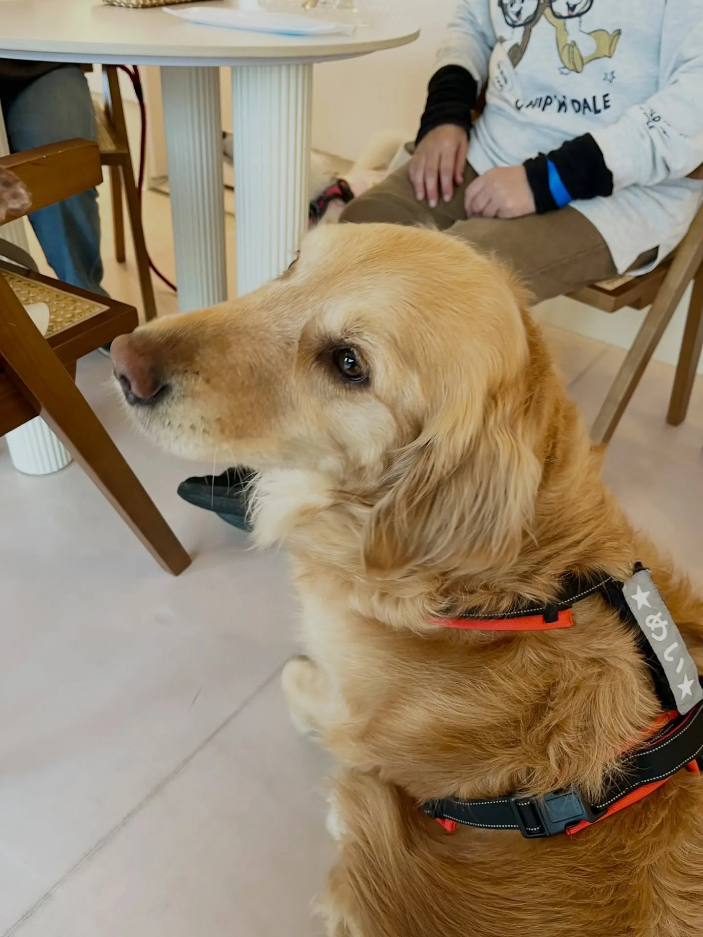 可愛さ満点のご来店です🐾🐾🐾
