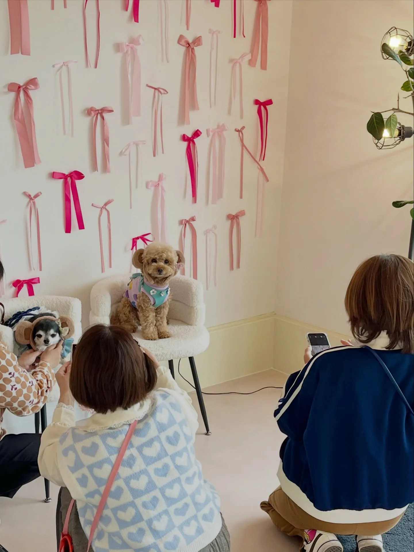 可愛さ満点のご来店です🐶🐶