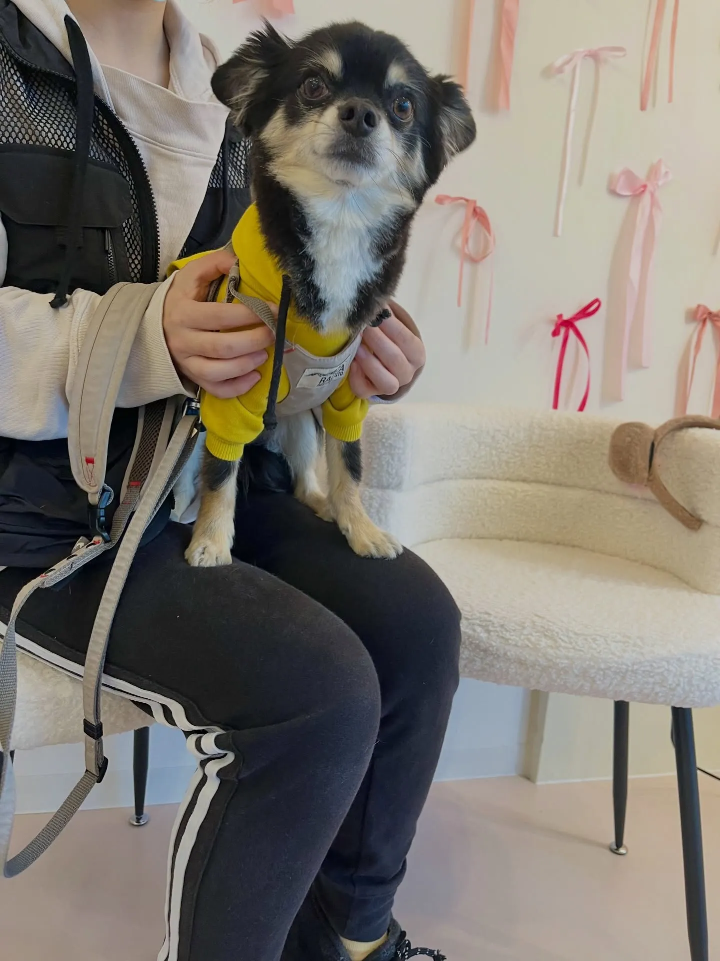 可愛さ満点のご来店です🐶