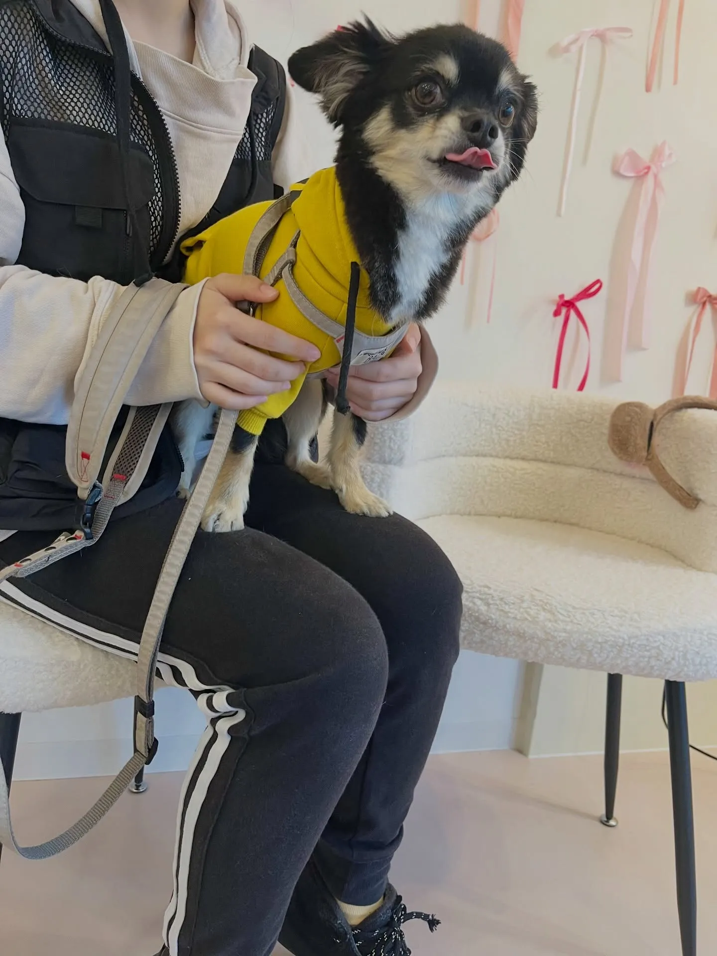 可愛さ満点のご来店です🐶