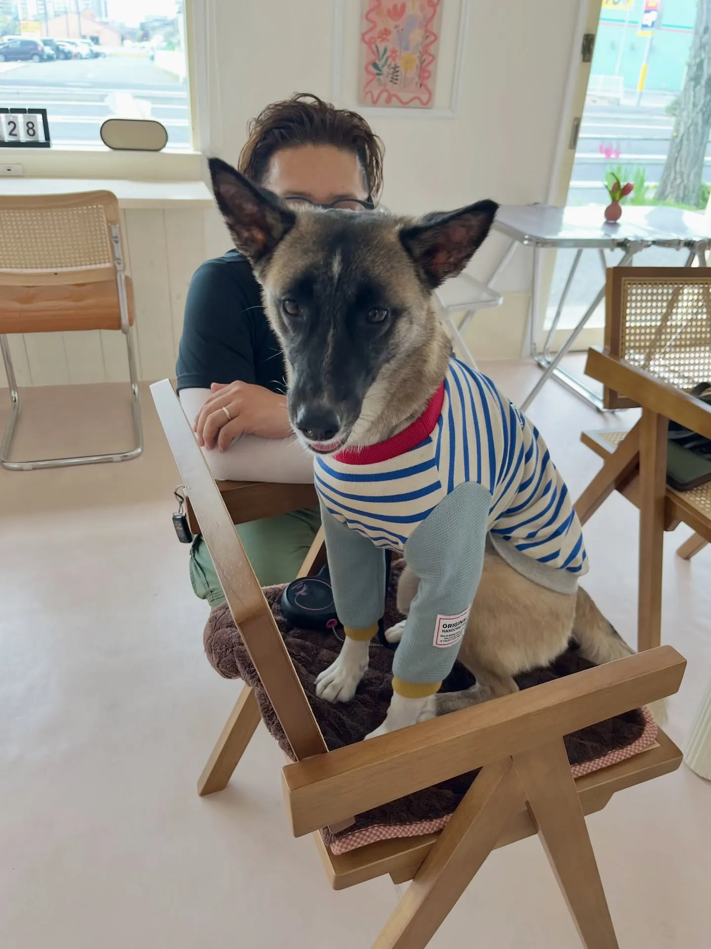 可愛さ満点のご来店です🐶💛