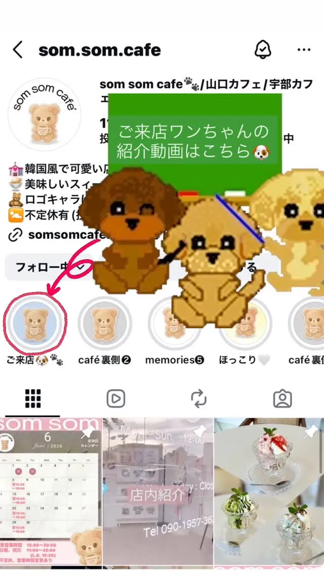 〜お知らせ🐶〜