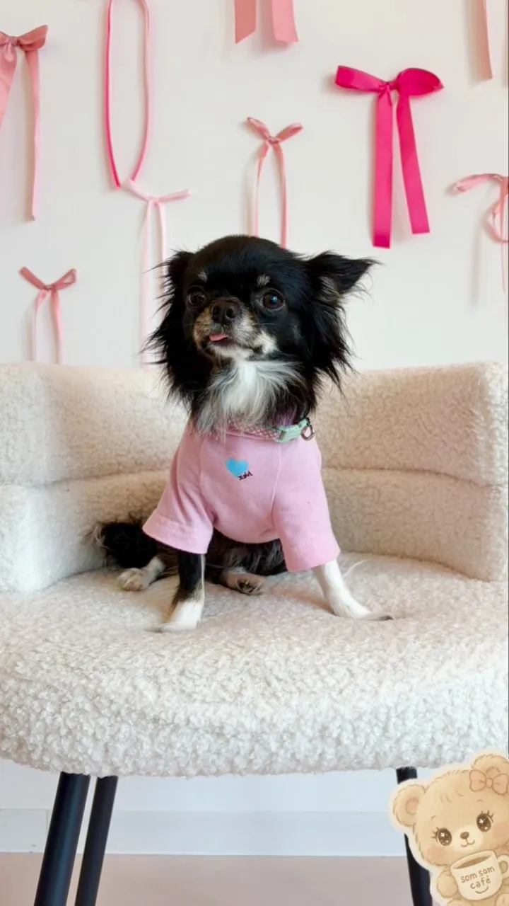 Wherever you are...プリン🐶🎉🎂